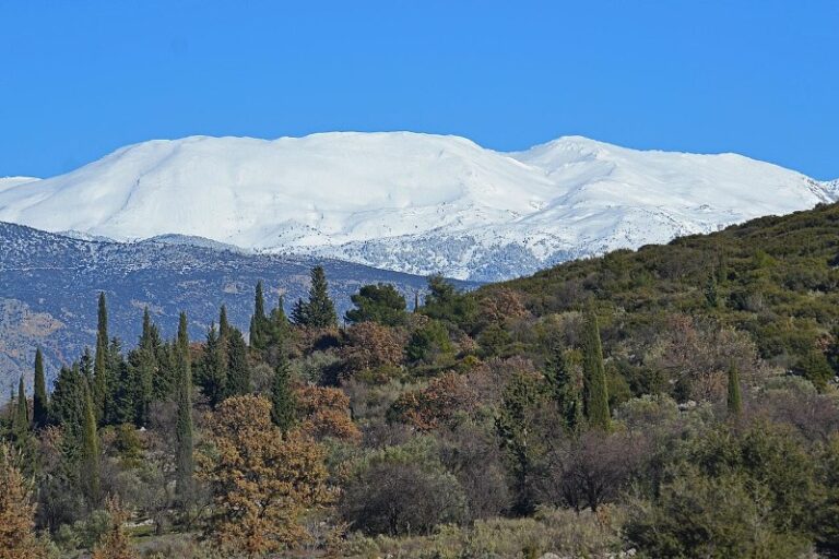 Γεωγραφική και Περιβαλλοντική Ταυτότητα του Παρνασσού