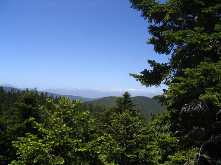 Εθνικός Δρυμός Παρνασσού